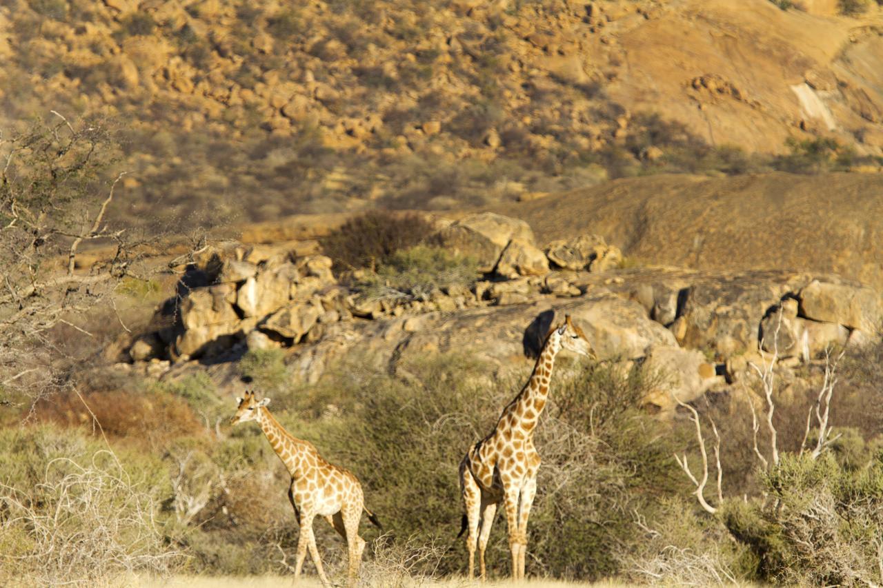 Ai Aiba - The Rock Painting Lodge Omaruru Exterior photo